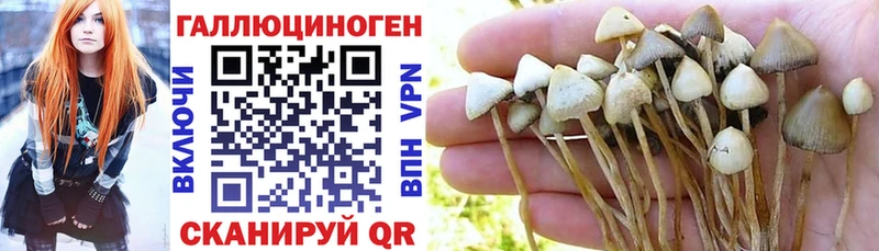 Псилоцибиновые грибы Psilocybine cubensis  mega сайт  Лихославль 